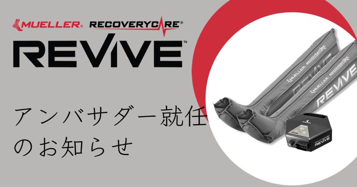 関田誠大　バレー　堺ブレイザーズ　ユニフォーム　クマ　ストラップ　キーホルダー 2026年最新】関田誠大 ユニフォームの人気アイテム - メルカリ